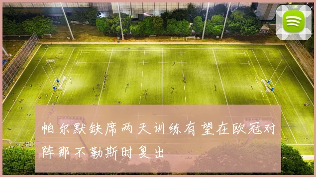 帕尔默缺席两天训练有望在欧冠对阵那不勒斯时复出